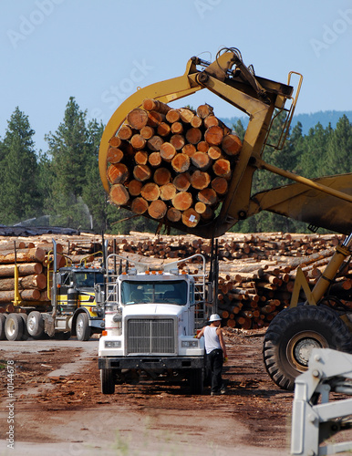 Photography Log truck unloading