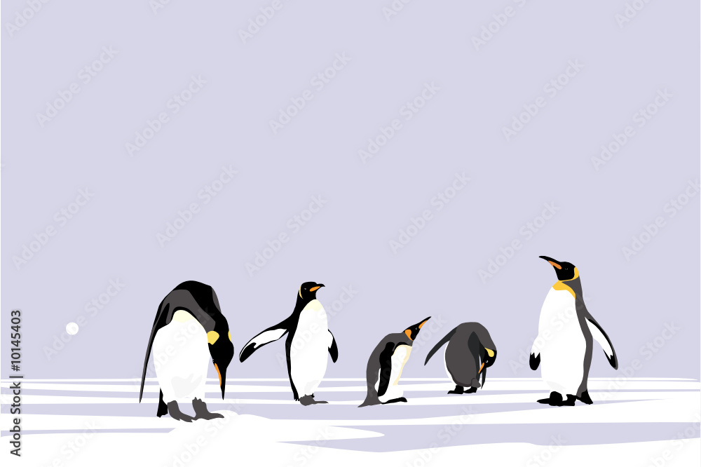 Obraz premium Emperor Penguins, easy editable vector collection