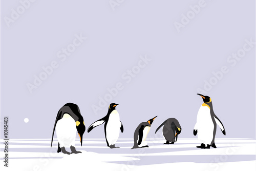 Emperor Penguins, easy editable vector collection