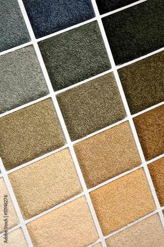 Samples of color of a carpet covering