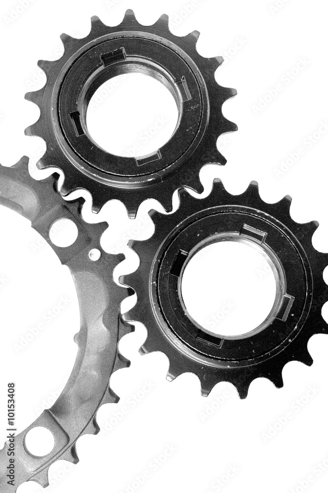 gear wheels