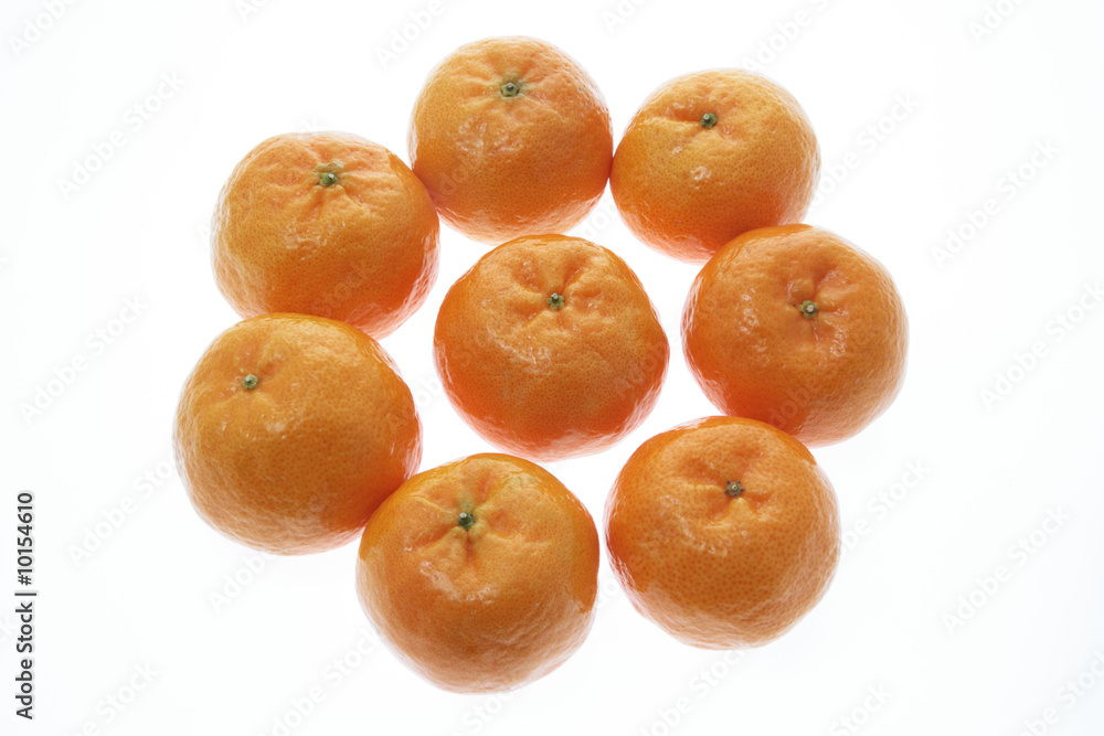 Chinese New Year Mandarins on White Background Chinese New Year Mandarins on White Background