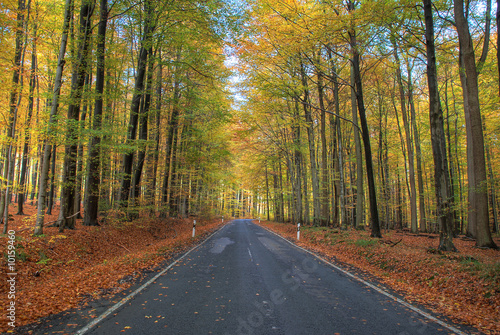 Landstraße im Oktober