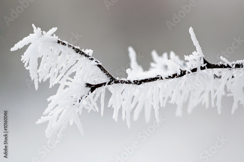 winter schneekristallen photo