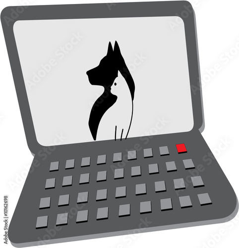 CHIEN - CHAT -  ORDI