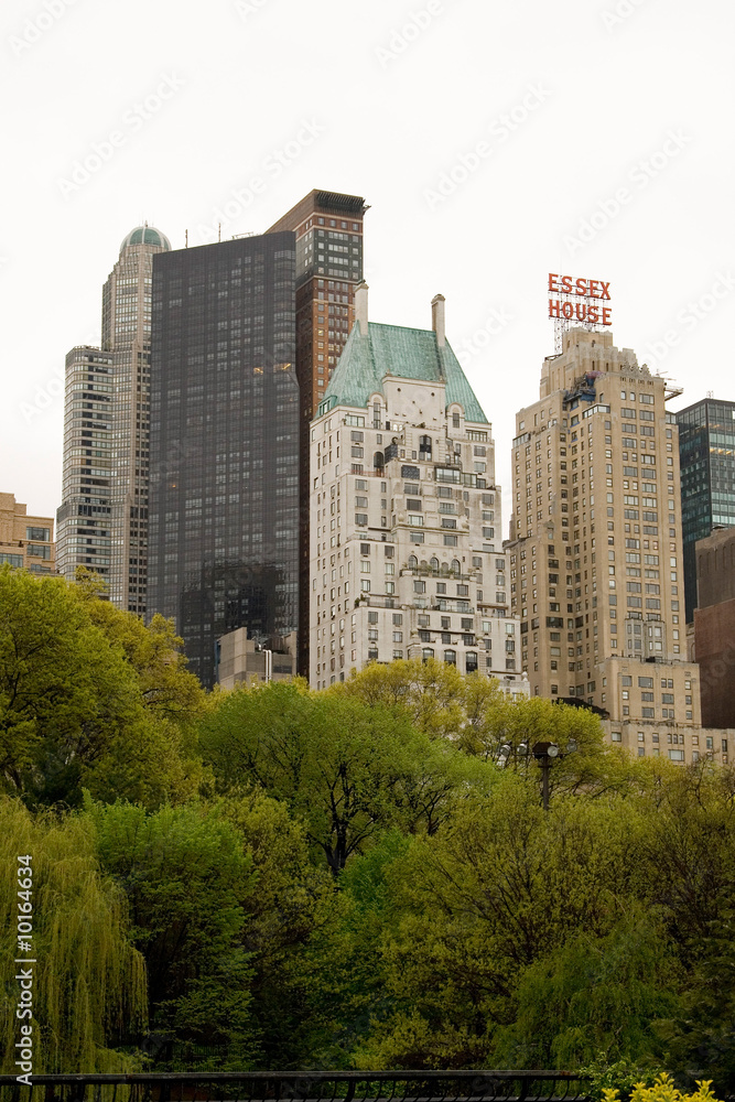 Obraz premium Central Park, NYC