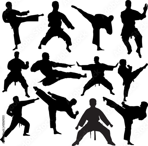 karate collection