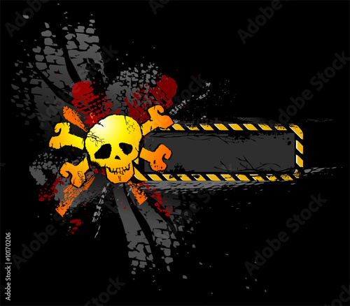 Grunge Skull banner