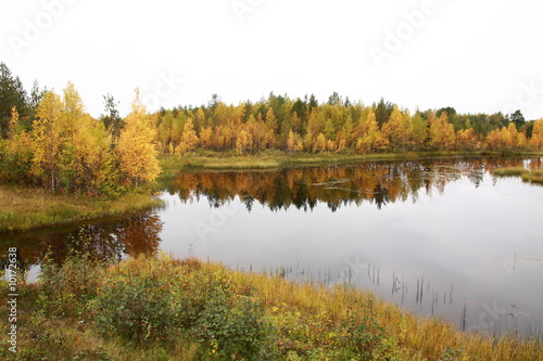 Lake in autumn with yellow trees in Lapland
