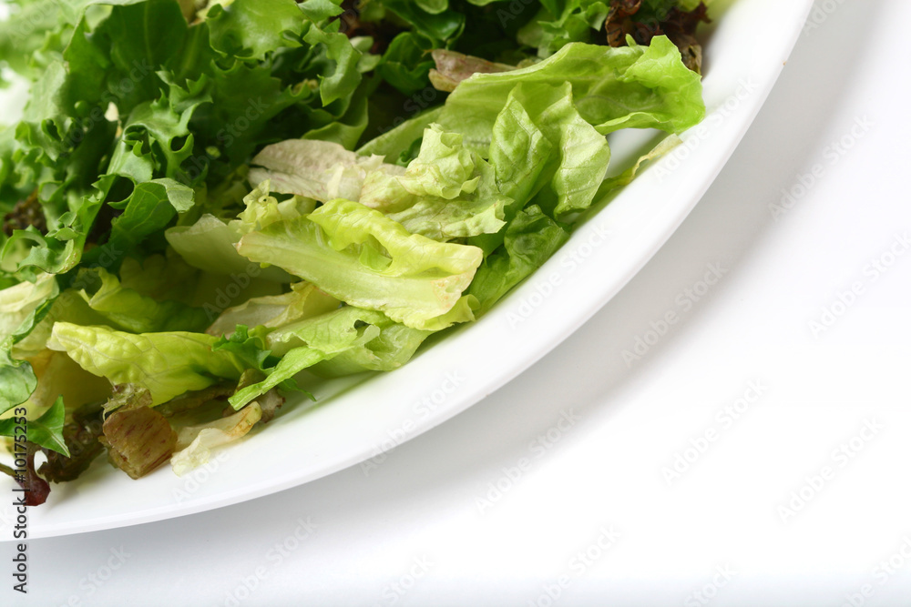salad isolated on white background salad isolated on white background