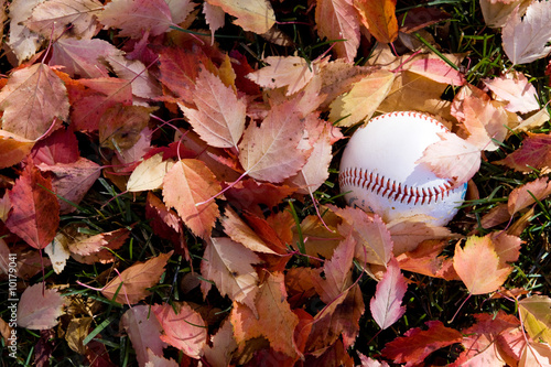 Photography Baseball on fall leaves
