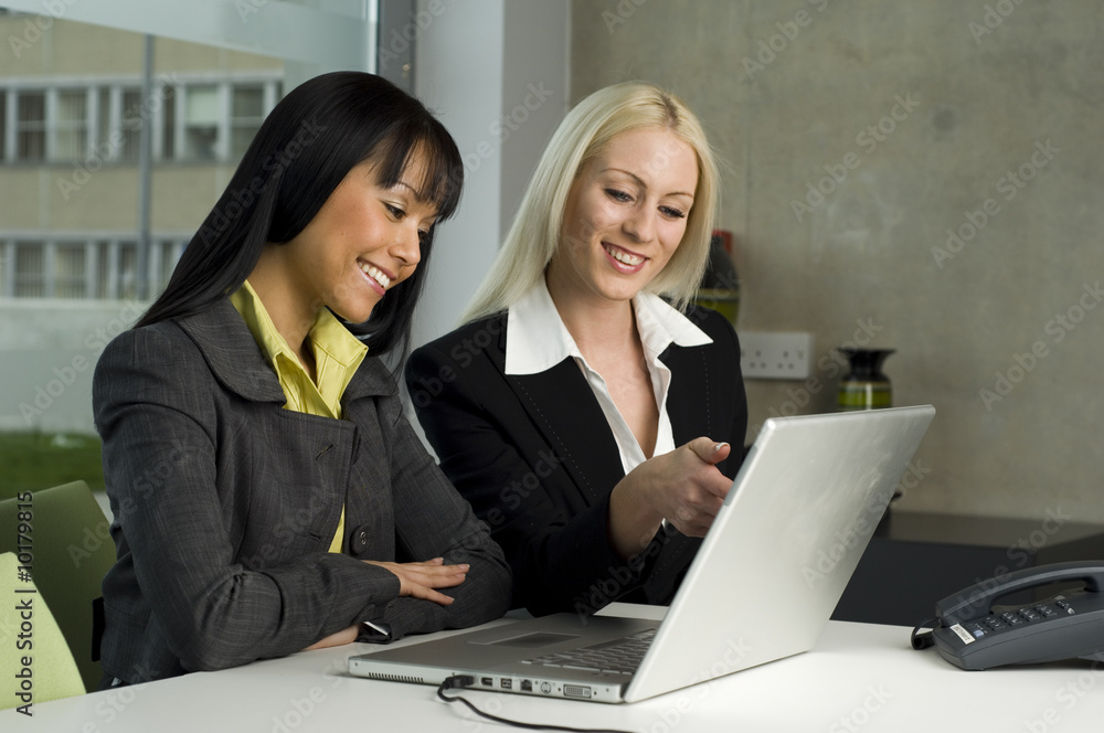Female Business Women working at a laptop computer Female Business Women working at a laptop computer