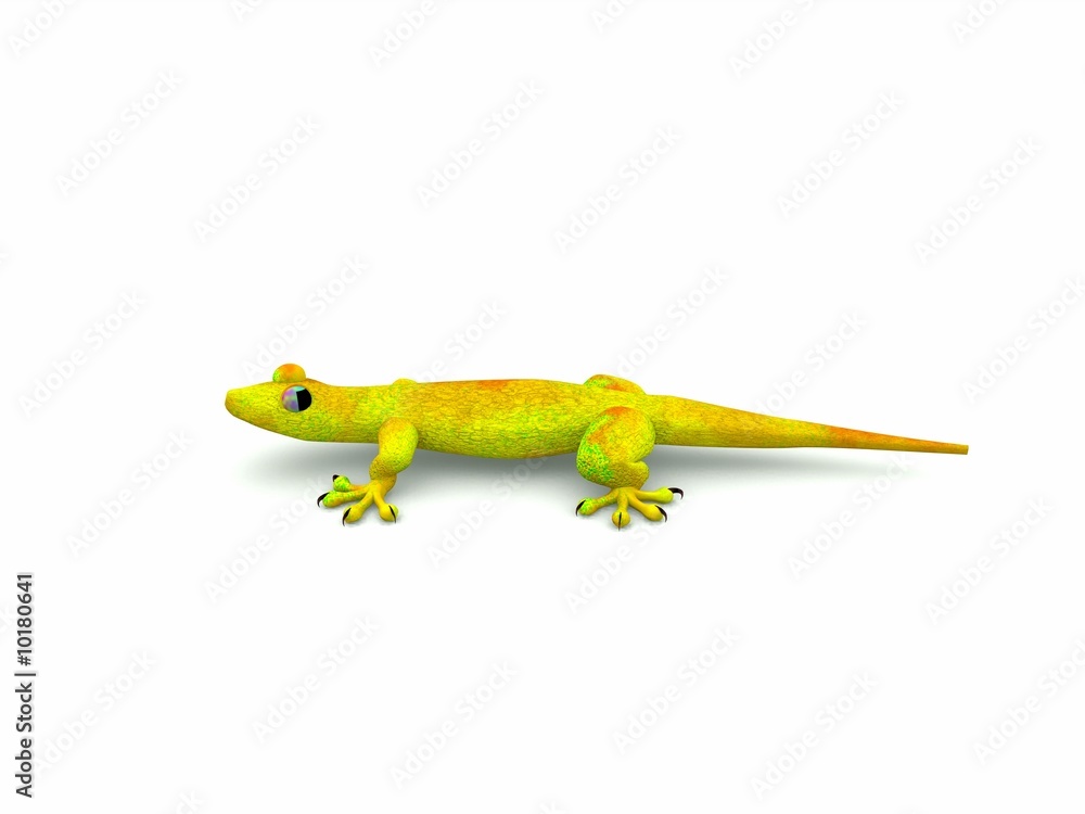 Fototapeta premium gecko