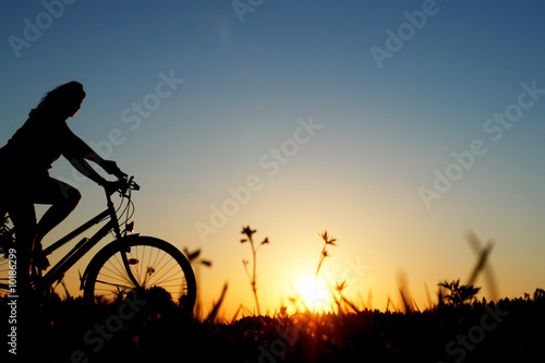 Wallpaper Mural sport Torontodigital.ca