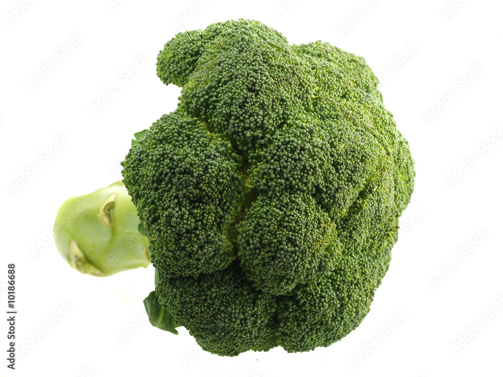 Head of broccoli isolated on white Head of broccoli isolated on white