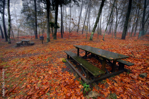 nice and cold autumn landscape