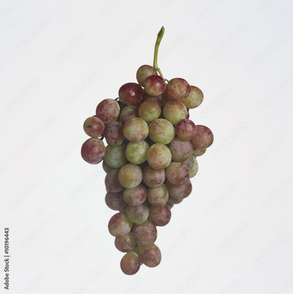 Fototapeta premium 065462