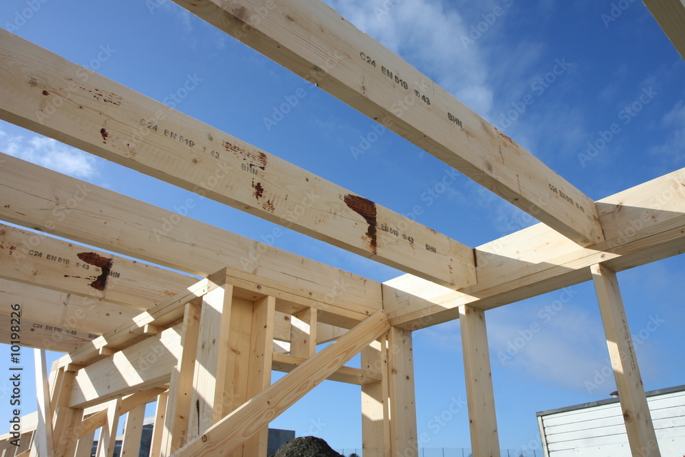 Framework for house Framework for house