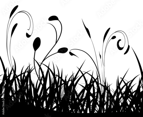 Fond végétal noir et blanc