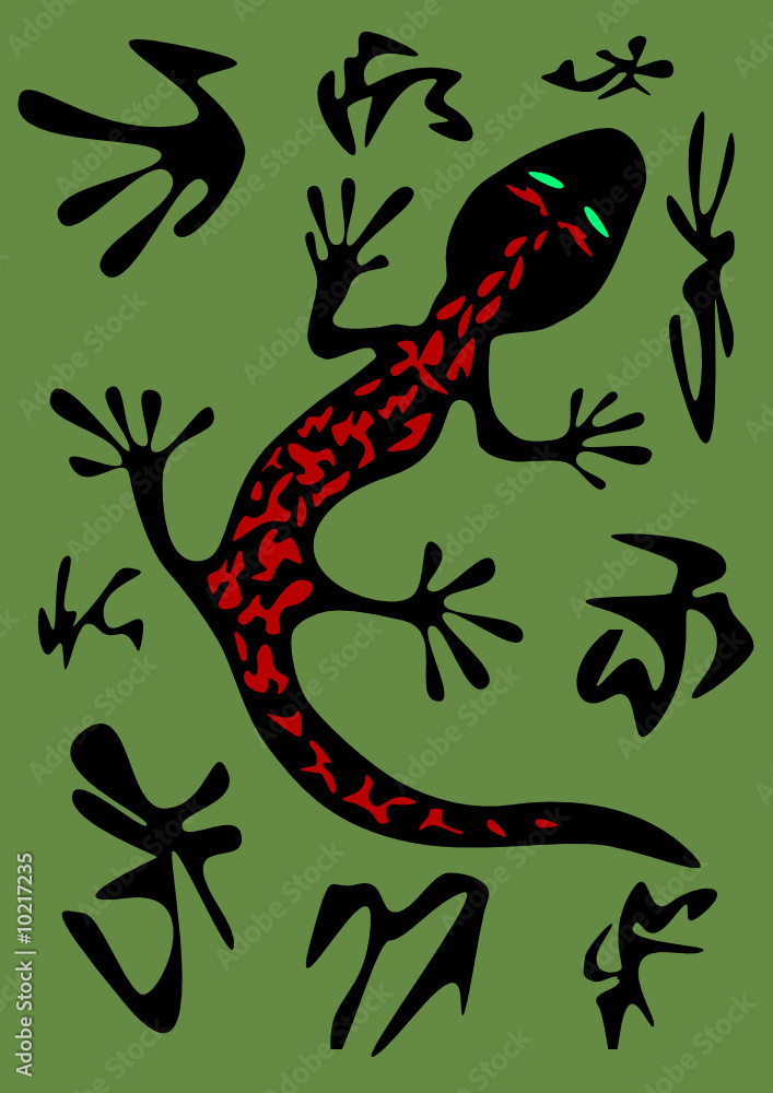 Fototapeta premium Salamander
