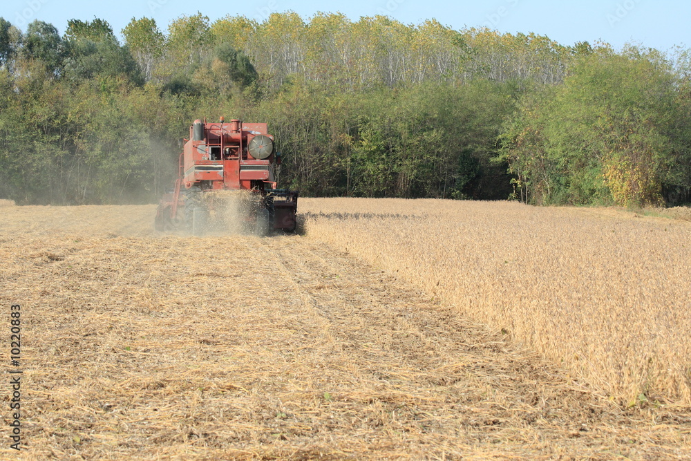 Obraz premium thresher