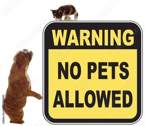 Fototapeta Naklejka Na Ścianę i Meble -  dog and cat chase in a no pets allowed sign