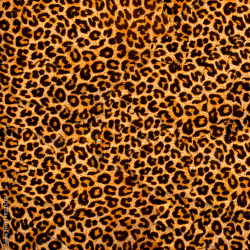 decorative leopard texture