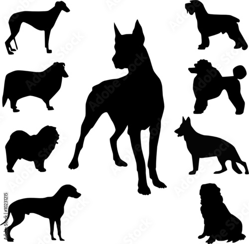 set of nine dog silhouette vector