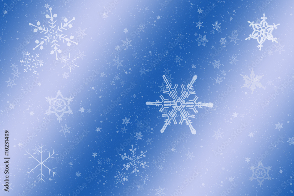 Neve Neve