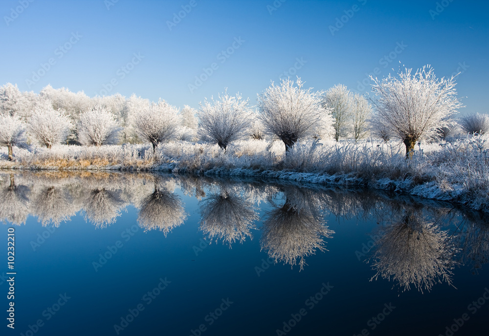 frost and a blue sky - obrazy, fototapety, plakaty 