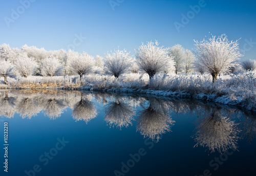 frost and a blue sky