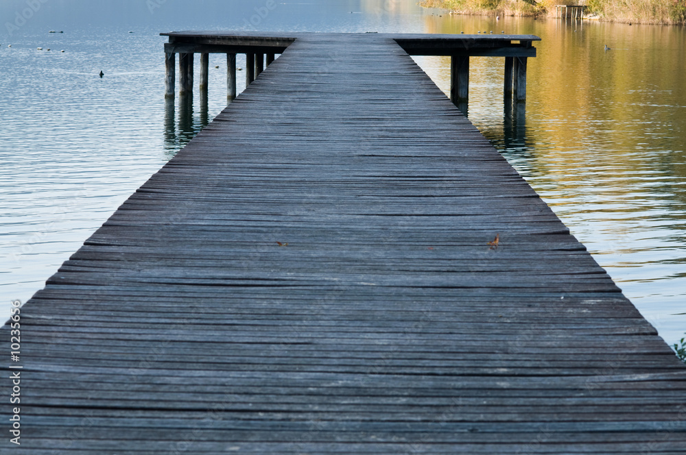 Fototapeta premium Pontile legno