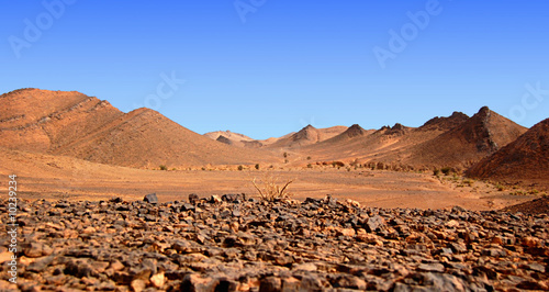 Dans le désert