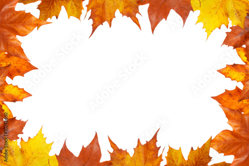 Autumn border made of leaves, isolated on white background