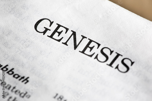 Vászonkép The book of genisis in the bible