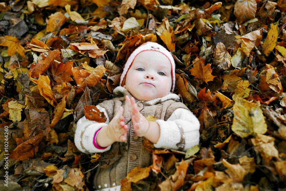An image of nice child in leaves in autumn park An image of nice child in leaves in autumn park
