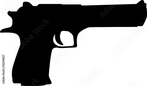 Gun