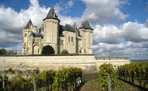 Fotografi vignobles de l'anjou