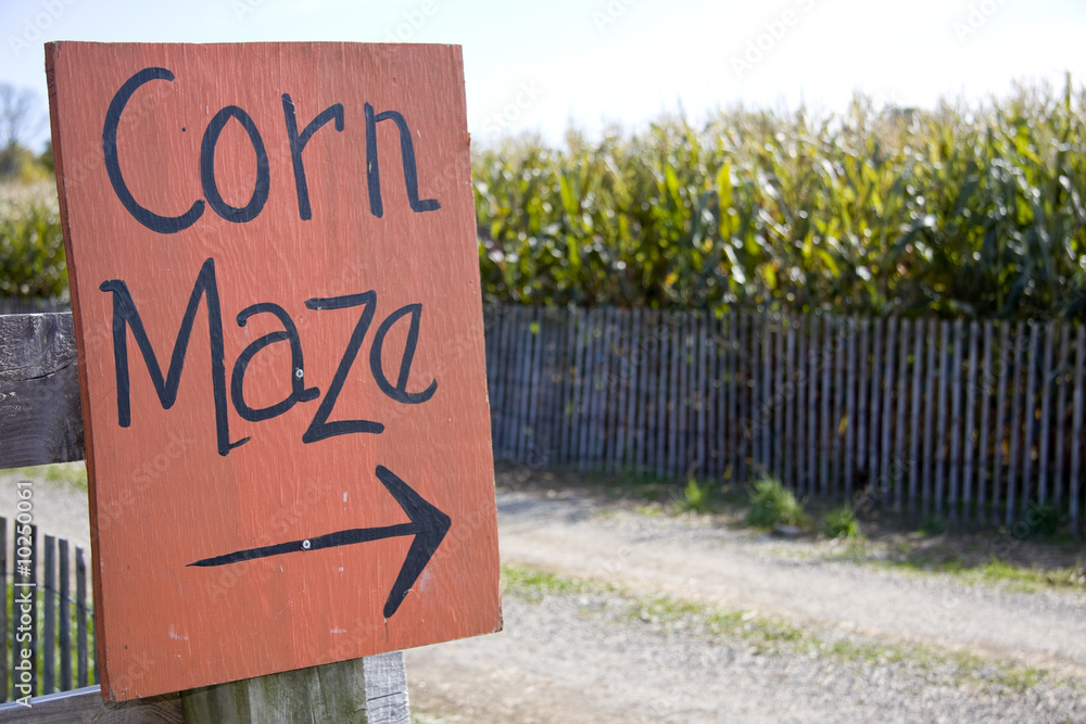 Fototapeta premium Corn maze sign next to a field of corn in rural america