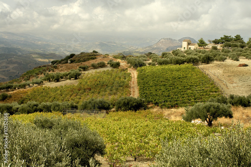 Vigne à Archanès