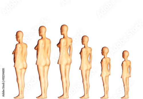 Evolution De L Homme Au Cours De Sa Vie Stock Illustration Adobe Stock
