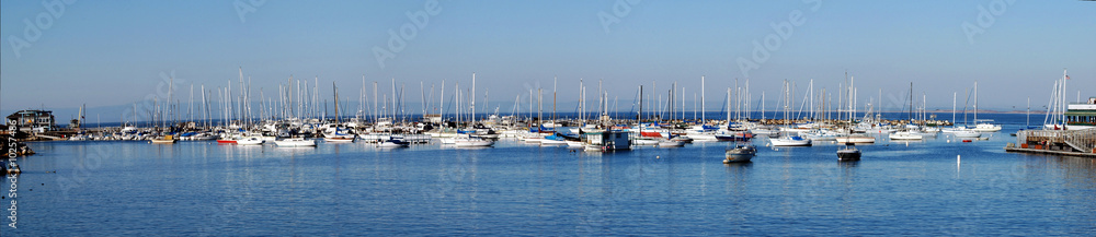 Harbor panorama