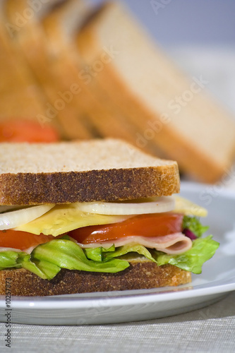 A delicious and healthy sandwich