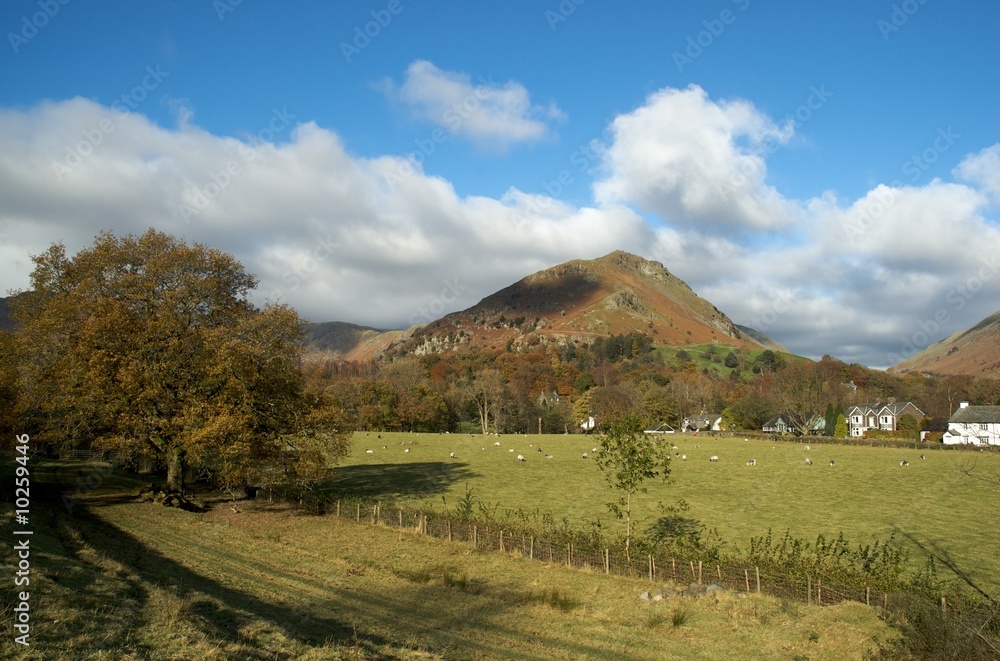Fototapeta premium The Autumn (fall) Lake District