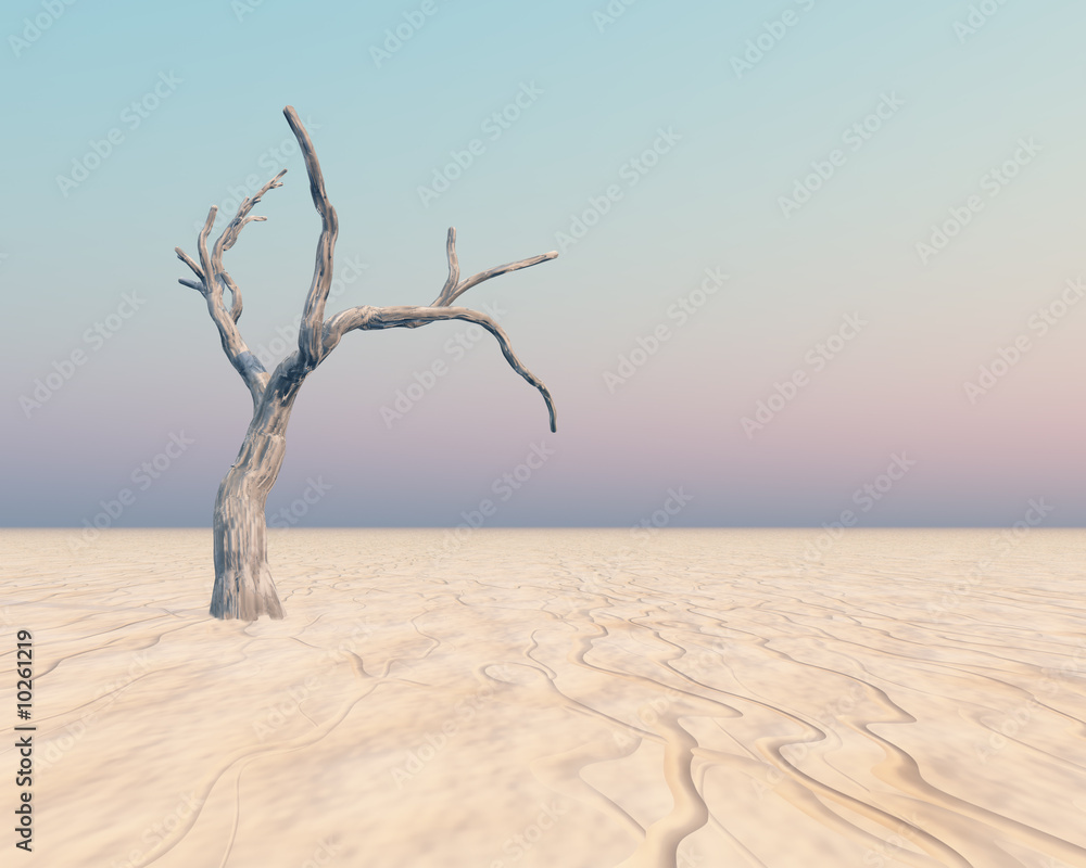 Tree on Horizon - A dry flat horizon background with an old tree Tree on Horizon - A dry flat horizon background with an old tree