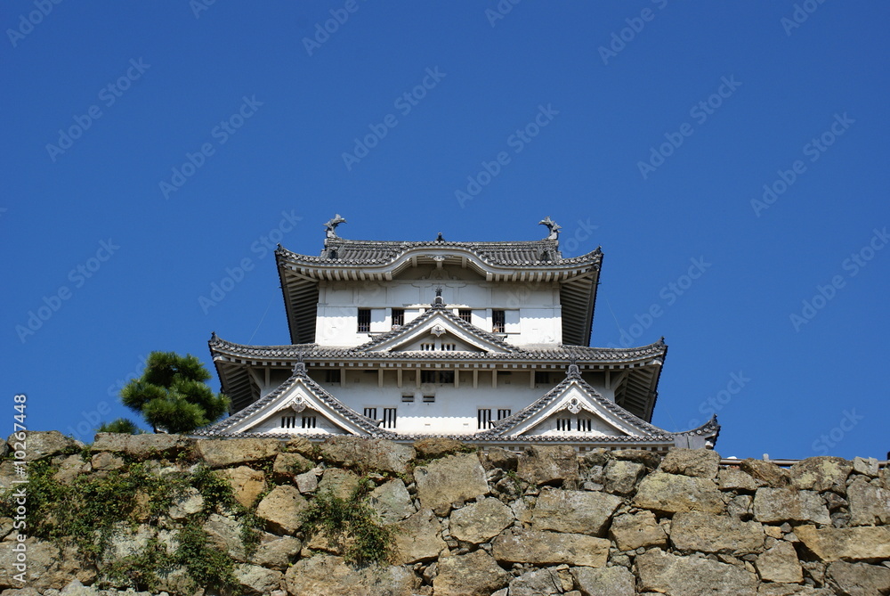 Fototapeta premium japan2