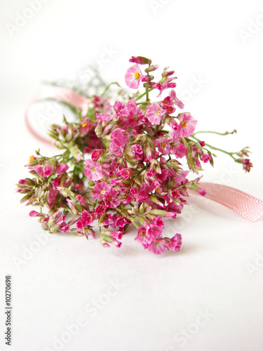 Bouquet of little pink flowers on white background - isolated © Flavia Morlachetti