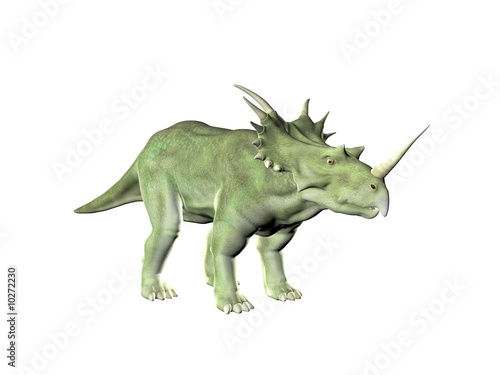 Triceratops an ancient jurassic extinct reptile Illustration © Paul Moore