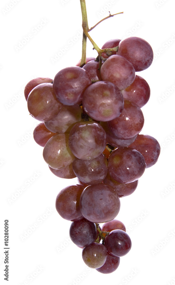 Fototapeta premium grapes