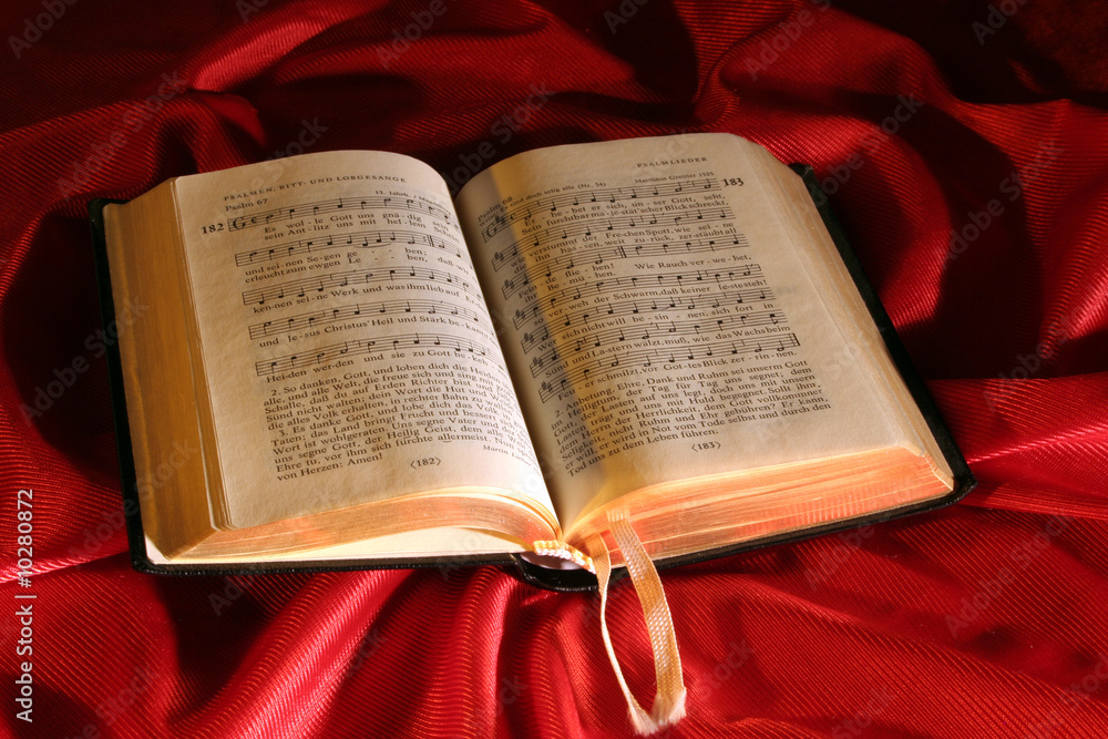 Fototapeta premium Book